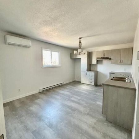 *Chien accepter appartement 4-1/2 - Photo 3