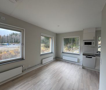 Klättergatan 7 – 2 rok (1301) - Foto 4