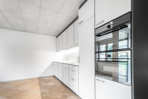 3.5 Zimmer, 95 m², EG - Foto 1
