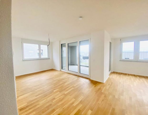 Neubau 4-Zimmer-Wohnung mit großer gemütlicher Loggia - Foto 1