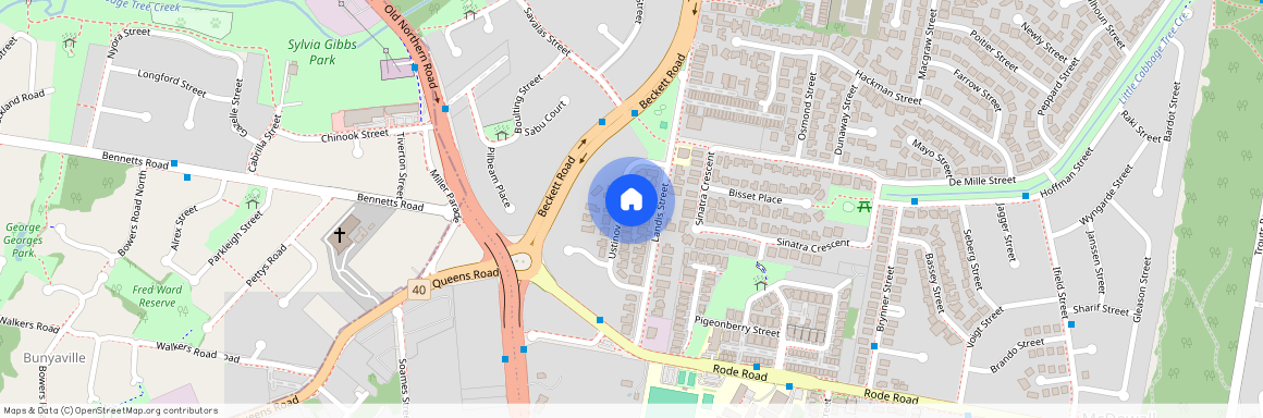 19 Ustinov Crescent, QLD 4053, Mcdowall