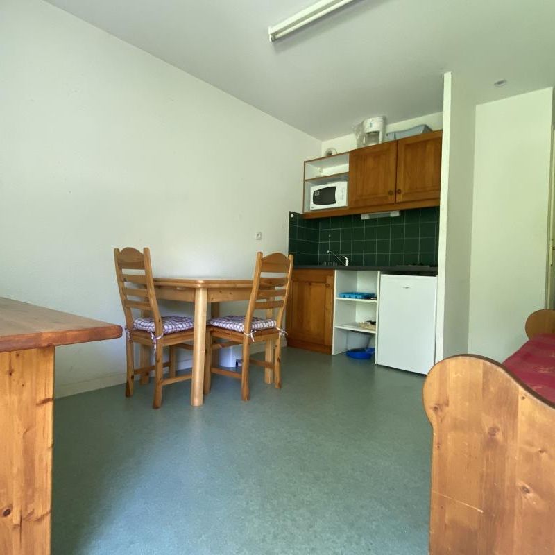 Location Appartement 1 pièce Meublé 17m² LE BOURGET DU LAC 73370 - Photo 1