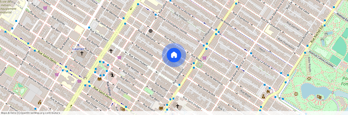 4560 Rue de Mentana, Le Plateau-Mont-Royal (Montréal), H2J3B8