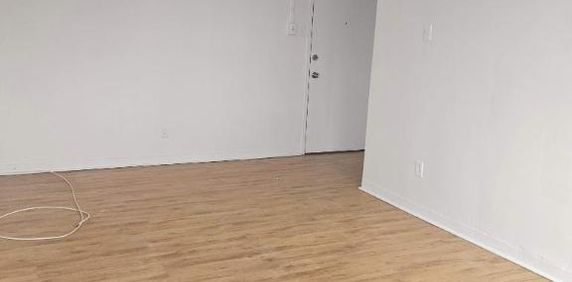 1 CH - 1 SDB - Montréal - $1,345 /mo - Photo 2
