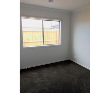 26 Cassava Street, Armstrong Creek VIC 3217 - House For Rent | Domain - Photo 3