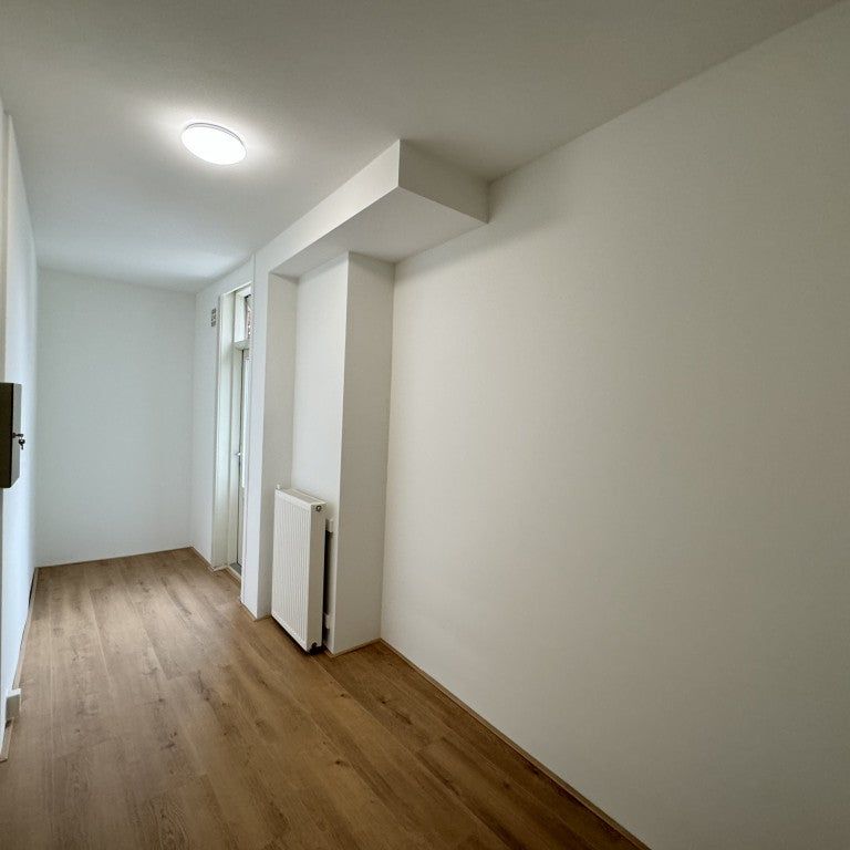 Te huur: Huis Vlaardingerdijk in Schiedam - Foto 1