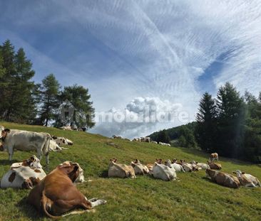 Trilocale via Valtellina 11, Aprica - Photo 5