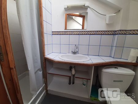 Location Appartement 1 pièce 18m² - Photo 2