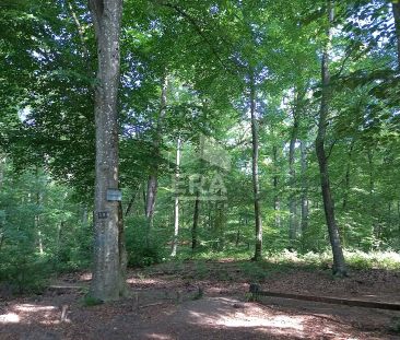 Appartement Fontainebleau 1 pièce meublé 21.62 m2 - Photo 6