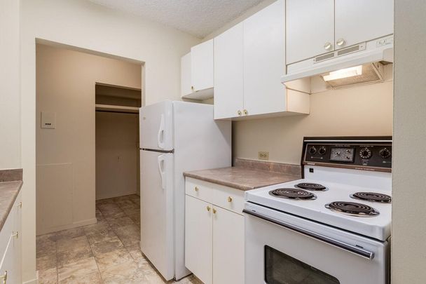 2 Bedroom - Photo 1