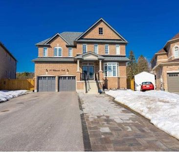 For Lease - 32 Westminster Circle Unit# Lower, Barrie, Ontario - Photo 6