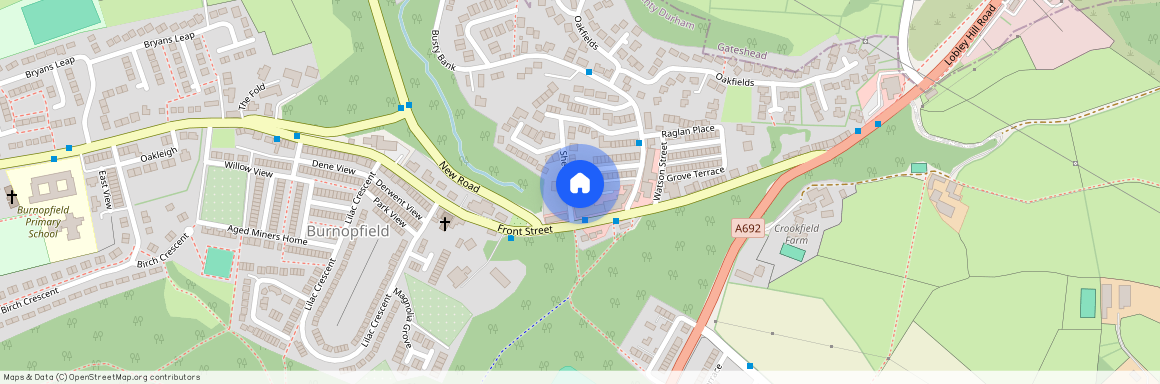 Anderson Court, Burnopfield NE16