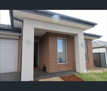 22 Sunridge Drive, Mernda, Vic 3754 - Photo 4