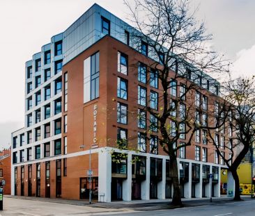 Standard Plus Studio - Photo 5