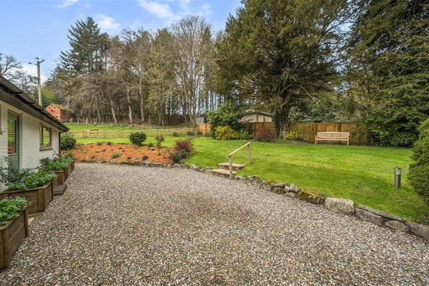 3 bedroom detached bungalow to rent - Photo 1