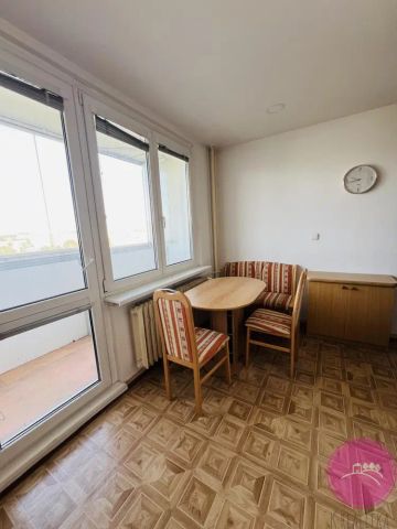 Pronájem vybaveného bytu 1+1 se dvěma zasklenými lodžiemi na ulici Foerstrova v Olomouci - Photo 2