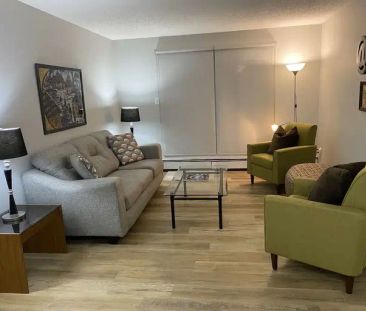 RENOVATED FULLY FURNISHED DOWNTOWN 1BR | 201 - 10529 93 St NW, Edmo... - Photo 1