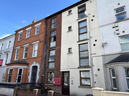 Apt 2 Nova Studios, 167 University Street, Ormeau Road, Belfast, BT7 1HR - Photo 4