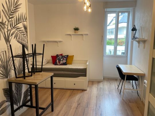 Location Appartement 1 pièce Meublé 18m² ANGERS 49100 - Photo 1