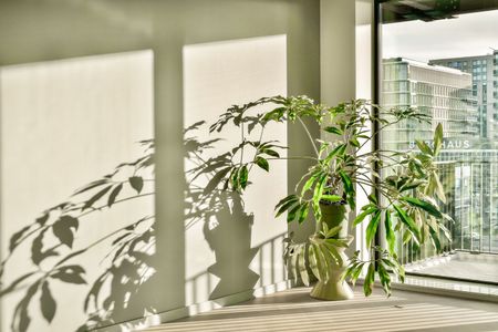 Appartement te huur: Rijnlandlaan 271 1062 MX Amsterdam - Photo 4