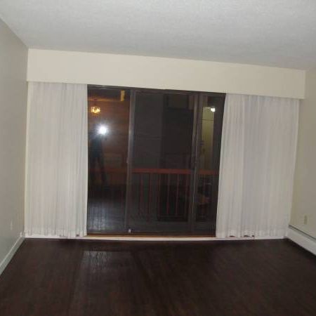 1 BDR-Welcome to Pine Manor clean & professionally managed - Photo 4