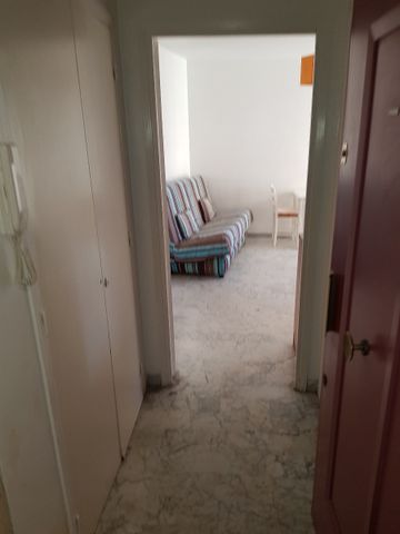 MORTA Menei - DISPONIBLE IMMEDIATEMENT - Photo 3