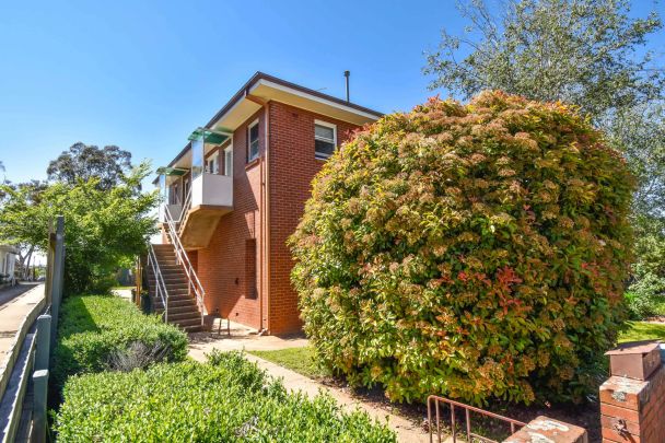 Cute, Cozy and Central - Photo 1