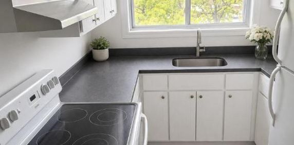 1 CH - 1 SDB - Montréal - $925 /mo - Photo 2