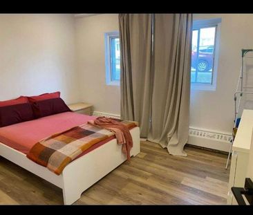 1 CH - 1 SDB - Montréal - $1,390 /mo - Photo 3