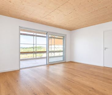 2.5 Zimmer, 56 m² - Photo 1