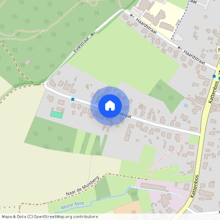 Eviestraat zn - 3920 LOMMEL