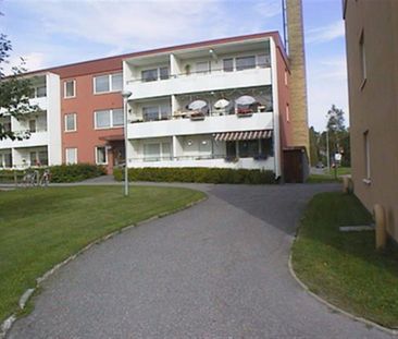 Bogatan 10 A - Photo 2