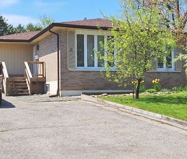 For Lease - 17 Daphne Crescent Unit# Bsmt, Barrie, Ontario - Photo 1