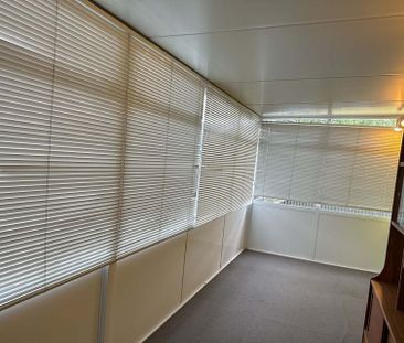 Spacious 4-Bedroom Family Home in Prime Hokowhitu - Photo 1