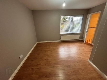 33 Teconnaught Road, Downpatrick, BT30 8QB - Photo 4