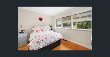 THE PERFECT PACKAGE - Photo 2