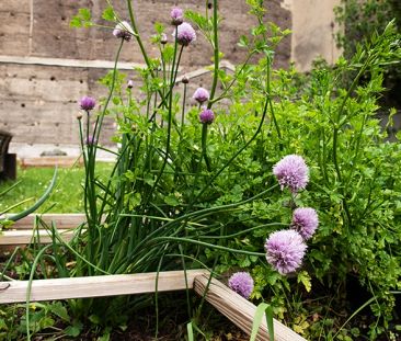 Studio 18/19m² rue - Photo 4