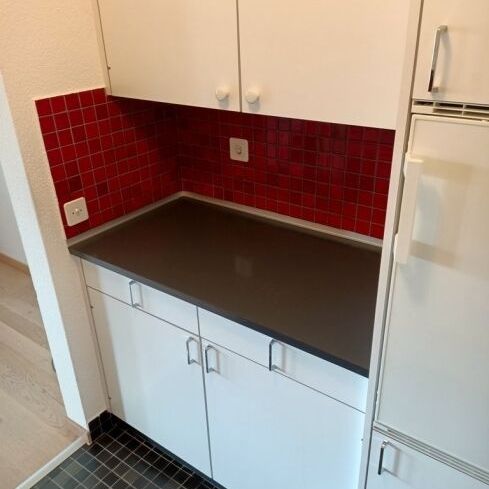 Appartement lumineux près de la ville avec coin salon de jardin ensoleillé à louer - Photo 1