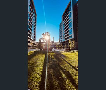 Modern Studio Apartment in the Heart of Macquarie Park - Photo 6