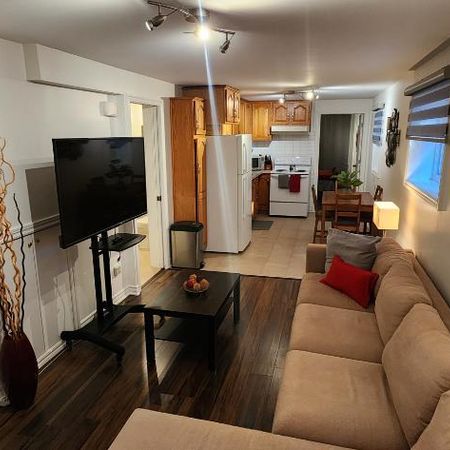 ROSEMONT - MAINTENANT – TOUT TOUT CECI MEUBLÉ INCLUS - Neuf 3 1/2 – BACHELOR - Photo 3