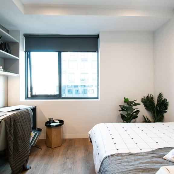 Premium Studio - Photo 1