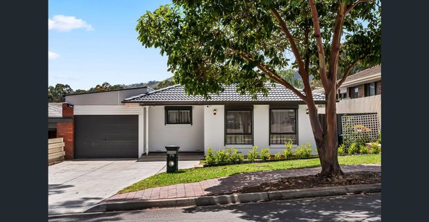 Modern Comfort in Paradise — Stylish 3-Bedroom Living on Ridgefield Ave - Photo 1