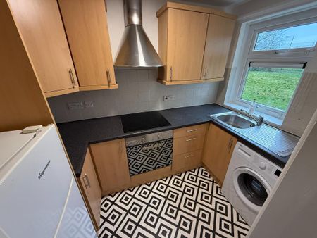 Studio to rent - Photo 2