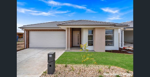 Discover Modern Living in the Heart of Gisborne - Photo 1