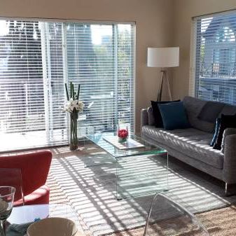 Fully Furnished 1 Bedroom Penthouse Suite - Photo 4