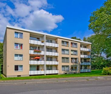 Demnächst frei! 3-Zimmer-Wohnung in Solingen Wald - Photo 1