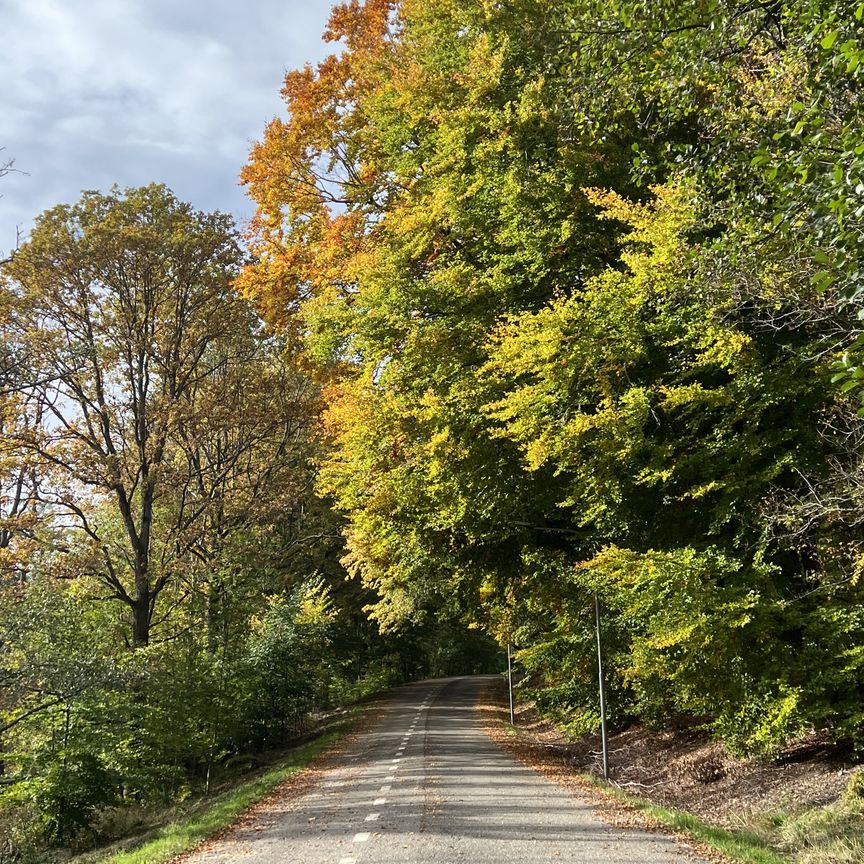 Älvkarleövägen, Stockholm - Photo 1