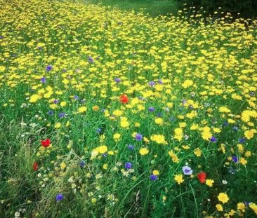 1 Bed Flat, London, E5 - Photo 1