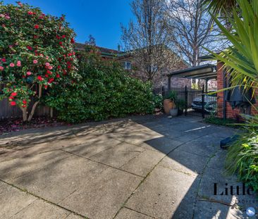 22 Buchanan Street, Narrabundah ACT 2604 - House For Rent | Domain - Photo 5