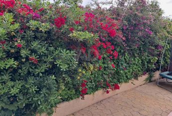 Alicante, Valencian Community 03130